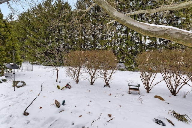 view of snowy landscape