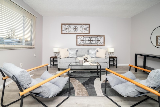 living room featuring a textured ceiling and hardwood / wood-style flooring