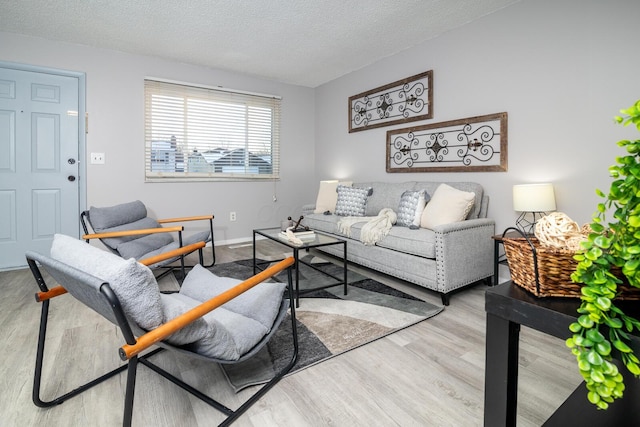 living room with a textured ceiling and hardwood / wood-style flooring