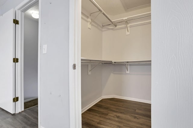 spacious closet featuring dark wood-type flooring