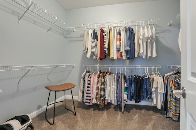 spacious closet with carpet flooring