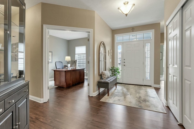 foyer entrance with dark wood-type flooring