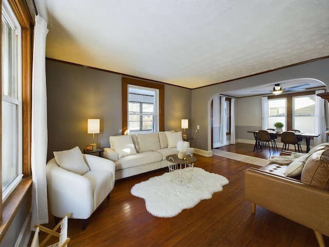 living room featuring ceiling fan, dark hardwood / wood-style flooring, and ornamental molding