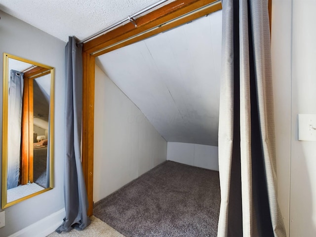 additional living space featuring a textured ceiling, lofted ceiling, and carpet flooring