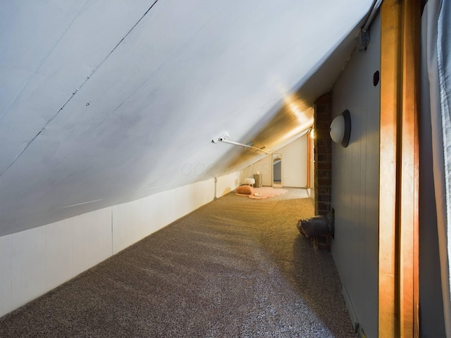 additional living space featuring carpet and vaulted ceiling