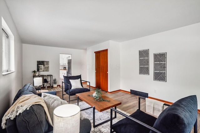 living room featuring wood-type flooring