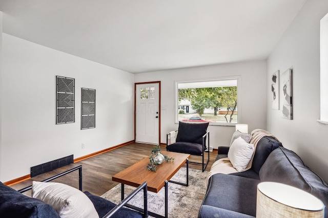 living room featuring wood-type flooring