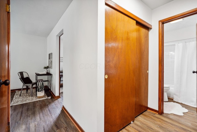 hall with hardwood / wood-style flooring