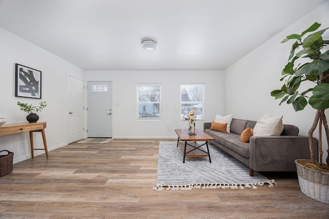 living room featuring light hardwood / wood-style floors