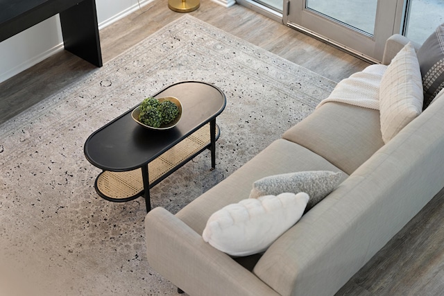 living room with wood-type flooring and plenty of natural light