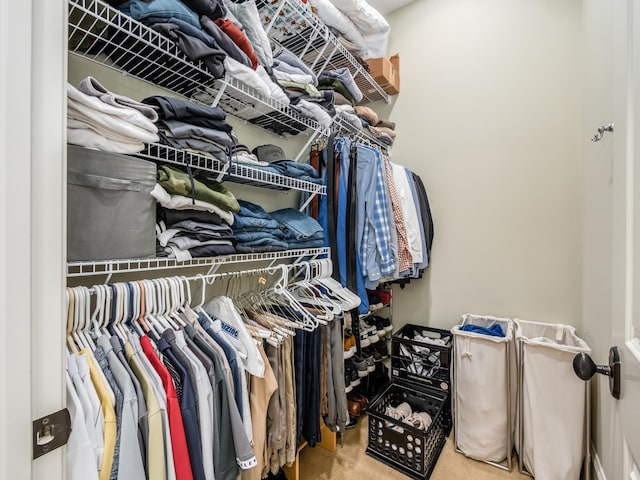 spacious closet featuring carpet