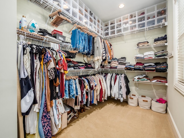 spacious closet featuring carpet