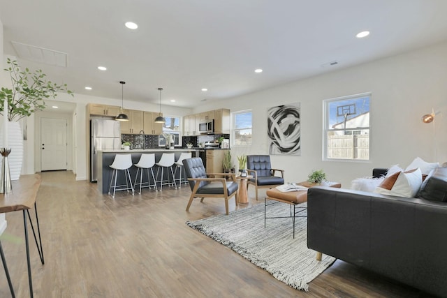 living room featuring light hardwood / wood-style flooring and a wealth of natural light