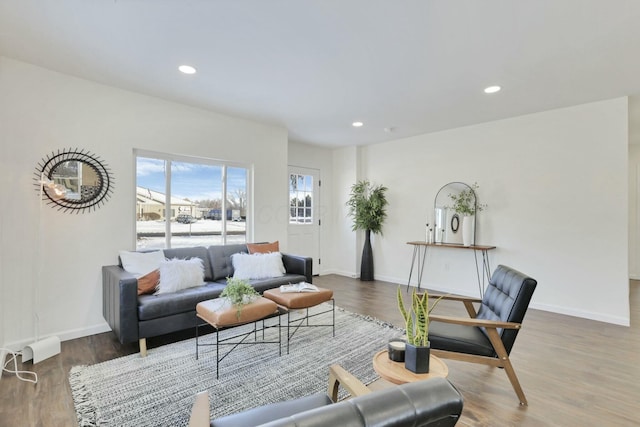 living room with hardwood / wood-style floors