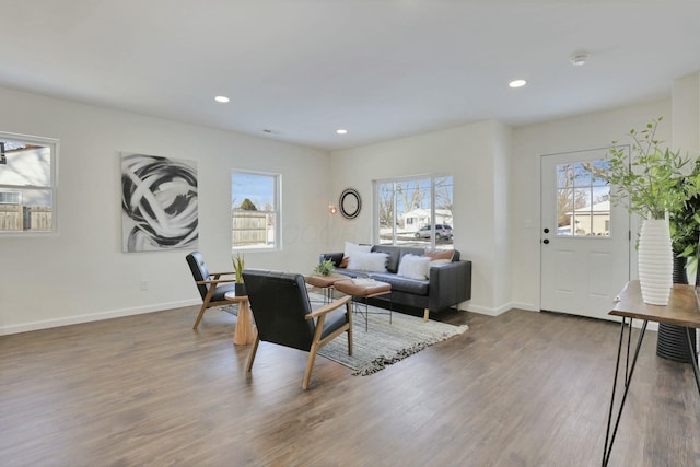 living room featuring a healthy amount of sunlight and hardwood / wood-style floors