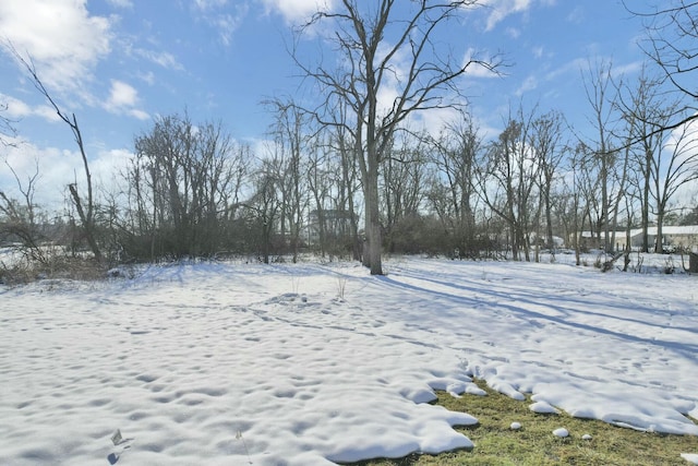 view of snowy yard