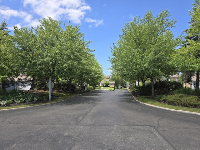 view of street with curbs