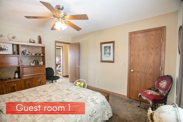 bedroom featuring ceiling fan, carpet flooring, and a closet