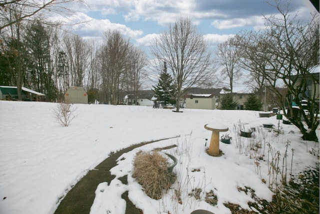 yard covered in snow featuring a shed