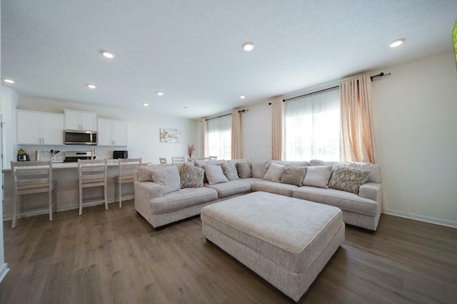 living room with a textured ceiling and dark hardwood / wood-style floors