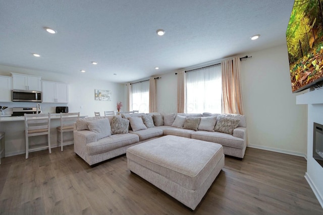 living room featuring hardwood / wood-style floors