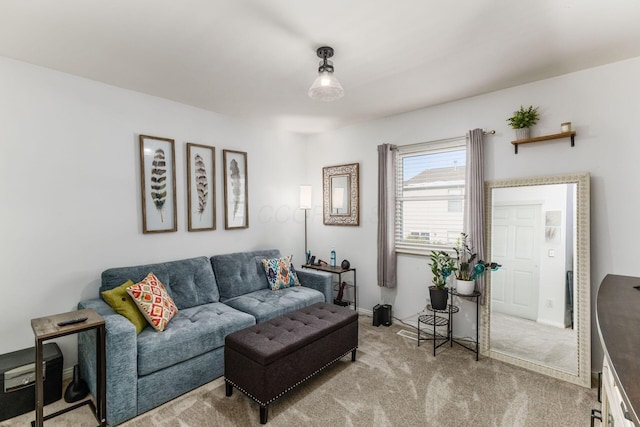 living room featuring light colored carpet