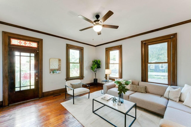 living room with ceiling fan, a wealth of natural light, crown molding, and light wood-type flooring