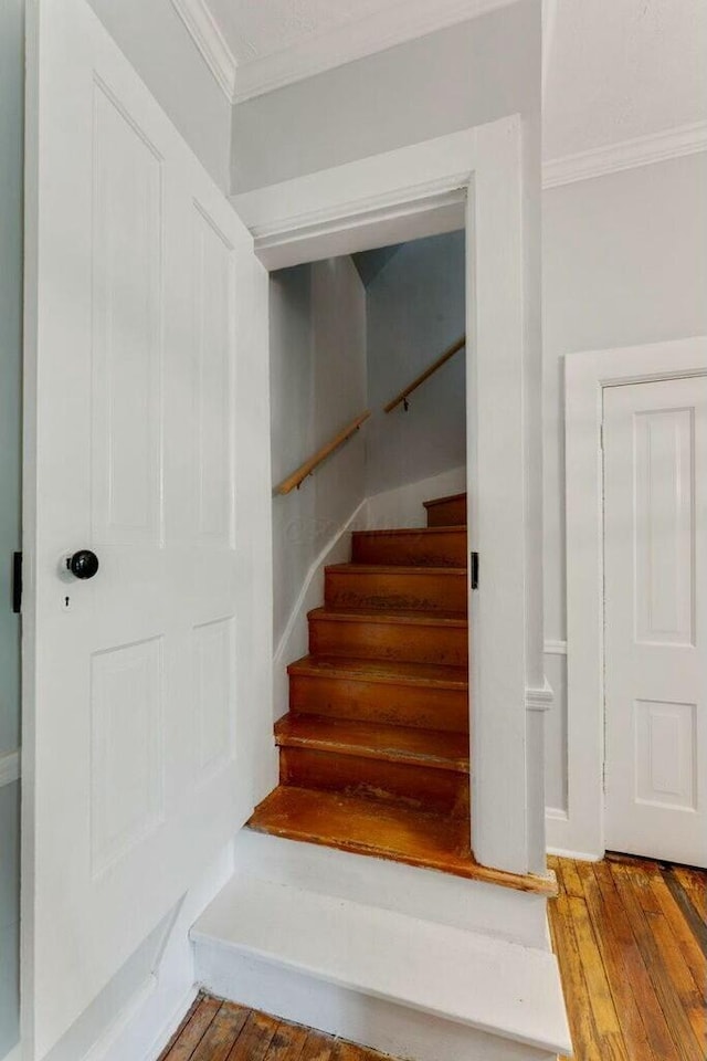 stairs with wood-type flooring and ornamental molding