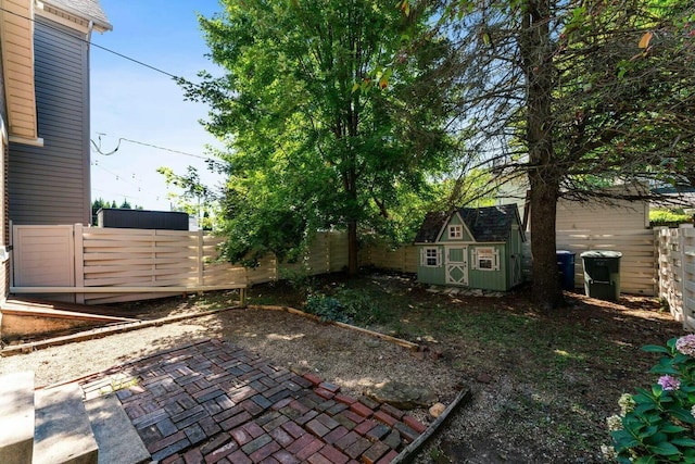 view of yard featuring a shed and a patio