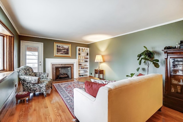 living room with ornamental molding and hardwood / wood-style floors