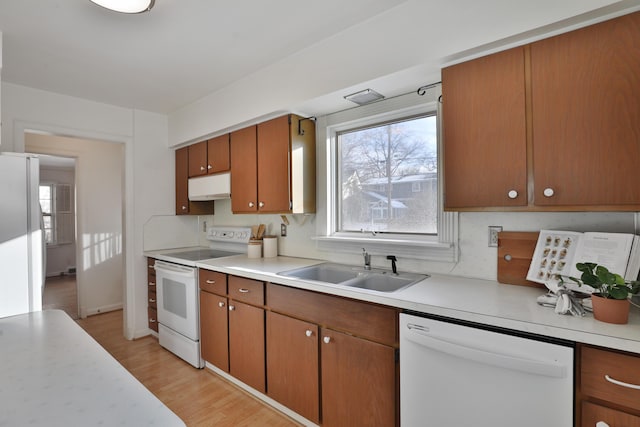 kitchen with sink, white appliances, tasteful backsplash, and light wood-type flooring