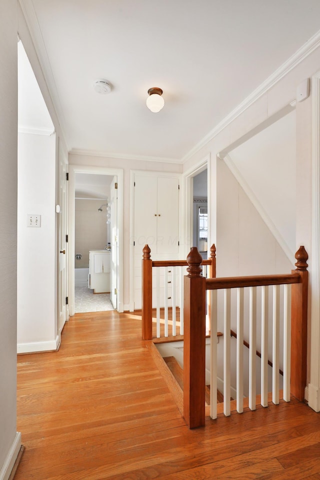 hallway with ornamental molding and light hardwood / wood-style flooring