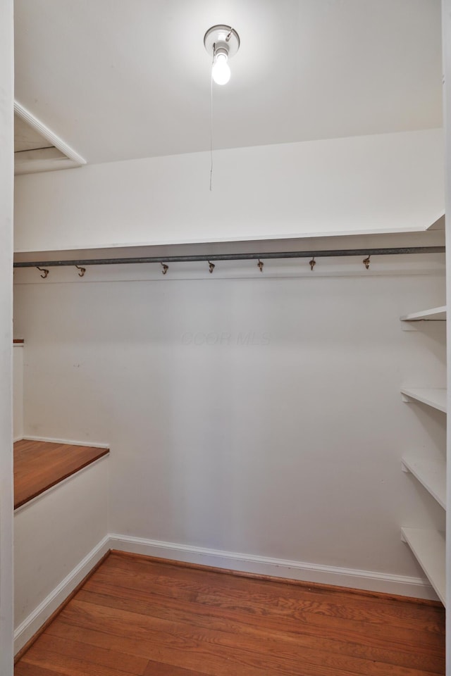 walk in closet with wood-type flooring