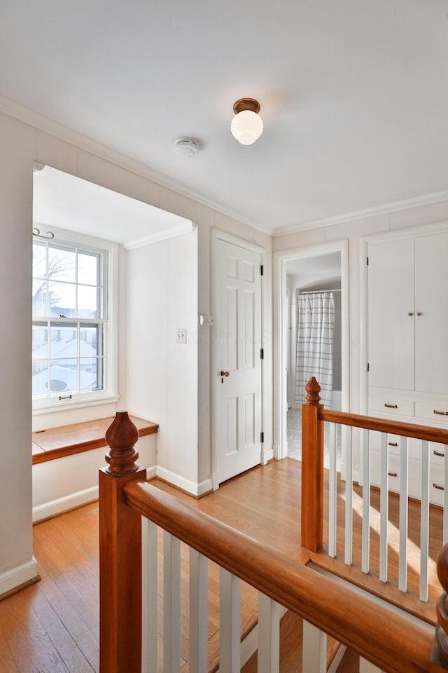 corridor featuring light hardwood / wood-style flooring and ornamental molding