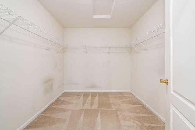 walk in closet with light colored carpet