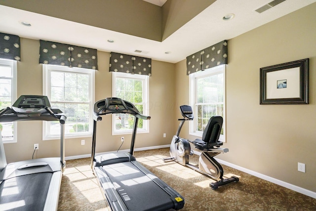 exercise area with light carpet