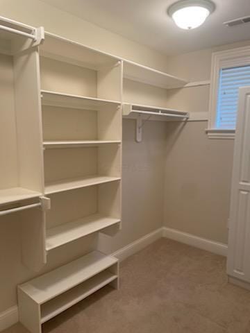 5735 Newbank Cir Unit 208, Dublin, OH 43017 - view of spacious closet