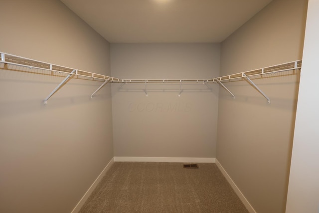 spacious closet featuring carpet and visible vents