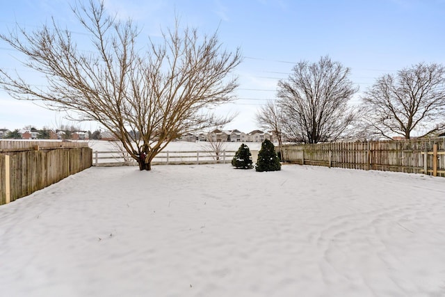 view of yard covered in snow