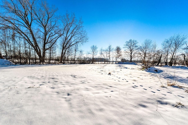 view of yard covered in snow