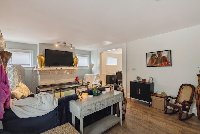 living room with hardwood / wood-style floors