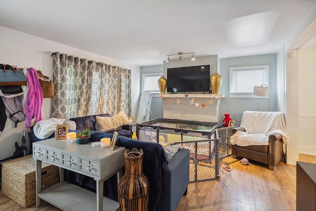 living room featuring a wealth of natural light and hardwood / wood-style flooring