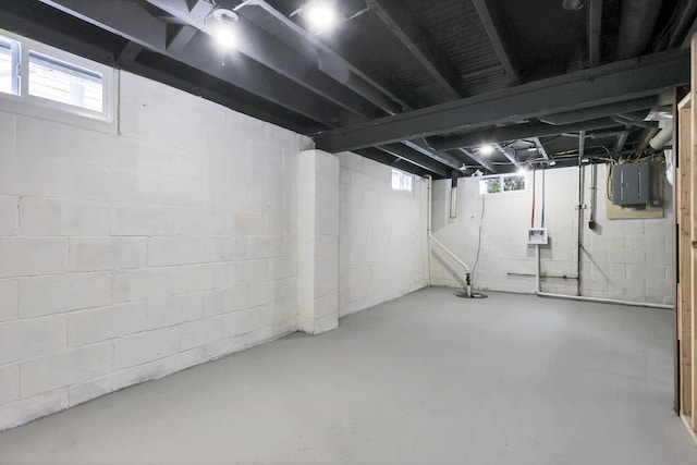 basement featuring electric panel