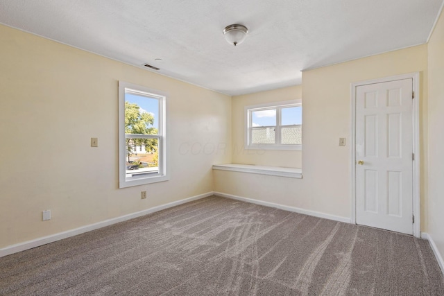 carpeted empty room with plenty of natural light