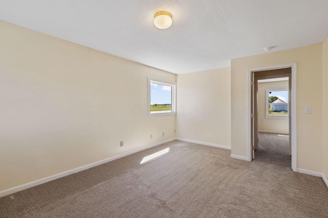 spare room featuring carpet floors