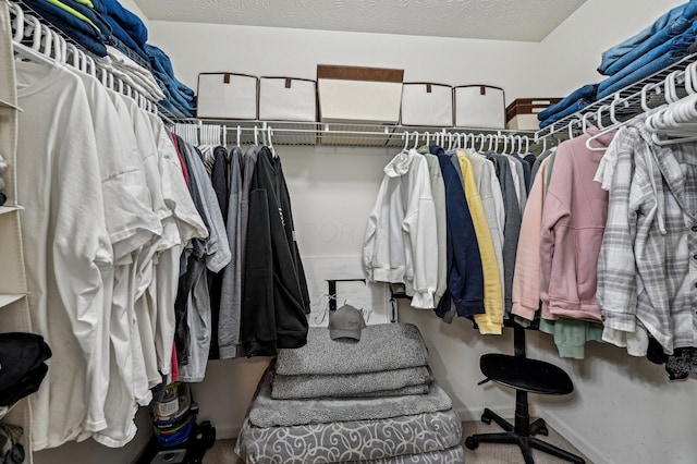 view of spacious closet