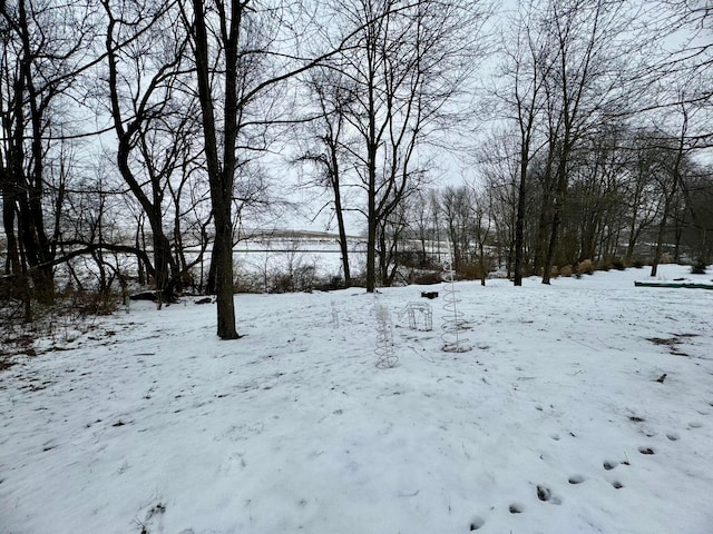 view of yard covered in snow