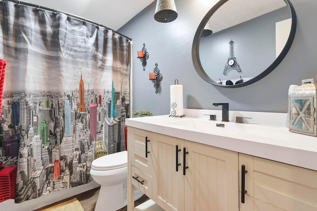 bathroom with toilet and vanity