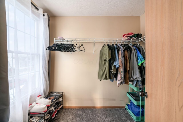 spacious closet featuring carpet