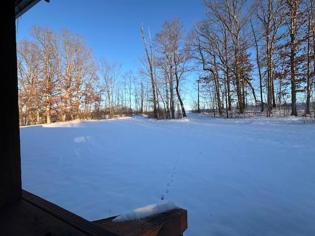 view of yard layered in snow